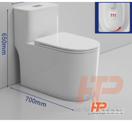 Bồn Cầu Khối HTP C02